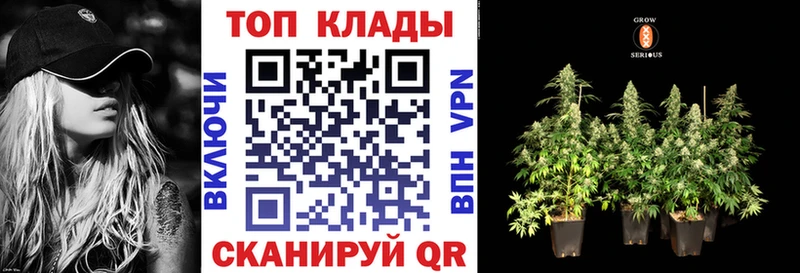 Где купить Котельники Амфетамин Псилоцибиновые грибы COCAIN Мефедрон