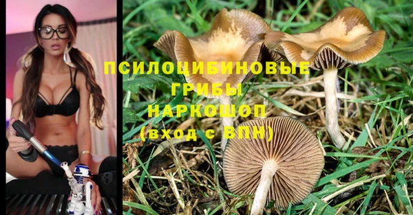 герыч Алексин